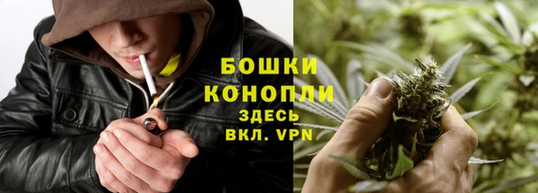 ПСИЛОЦИБИНОВЫЕ ГРИБЫ Нязепетровск