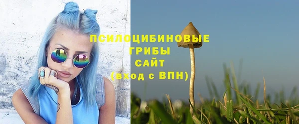 спиды Няндома
