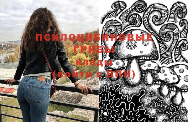 ПСИЛОЦИБИНОВЫЕ ГРИБЫ Нязепетровск