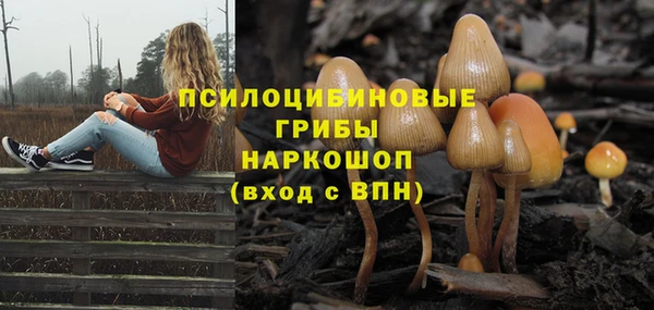 спиды Няндома