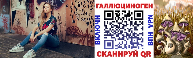 ОМГ ОМГ как зайти  где купить наркоту  Приволжск  Псилоцибиновые грибы Psilocybe 